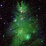 Twinkling Stars Form Cosmic Christmas Tree