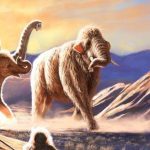 Ancient Mammoth Remains Reveal 1,000 km Migration and Coexistence with Humans