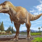 New Tyrannosaur Species Discovered in New Mexico Sheds Light on T. Rex Origins