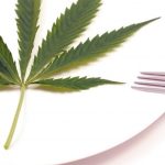 Cannabis Activates Appetite-Stimulating Brain Cells, Explaining the “Munchies”