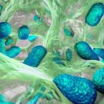 New class of antibiotic discovered that kills deadly drug-resistant bacteria
