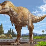 New Tyrannosaur Species Discovered – Implications for T. rex Origins