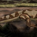 Ancient Reptile Skin Uncovered, Dating Back Nearly 300 Million Years